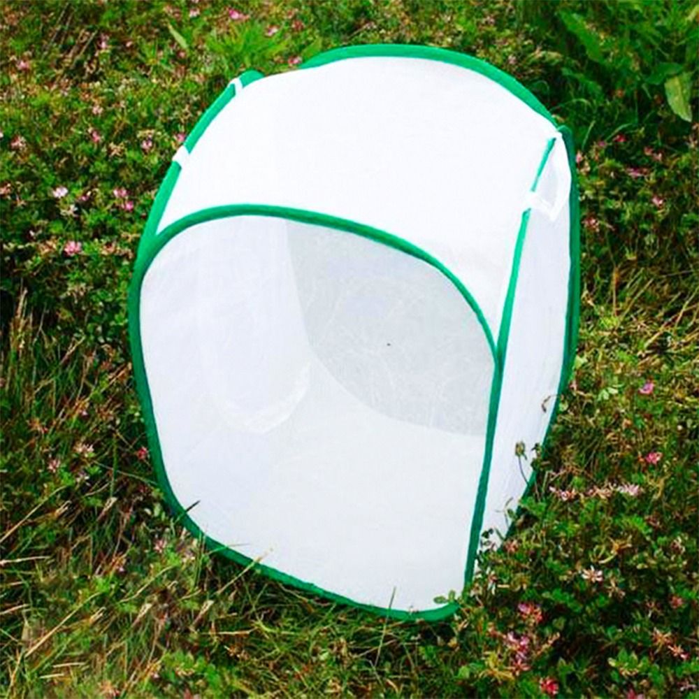 Gaiola de insetos dobrável ver - Green Screen Collapsible avaliação e preço
