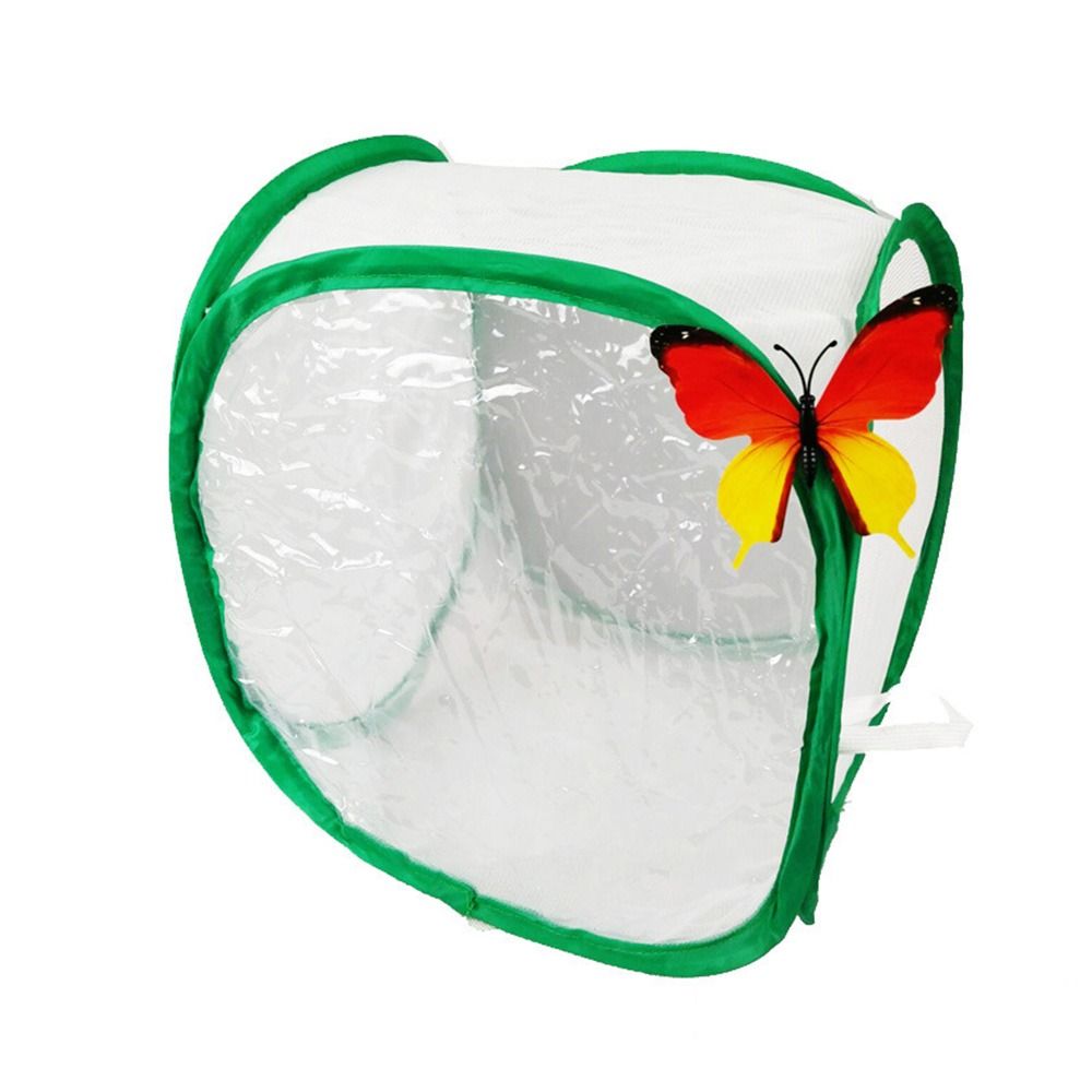 Gaiola de insetos dobrável ver - Green Screen Collapsible avaliação e preço