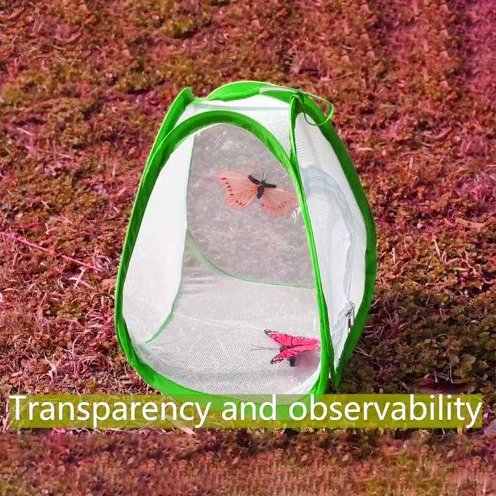 Gaiola de insetos dobrável ver - Green Screen Collapsible avaliação e preço
